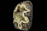 Polished, Calcite Crystal Filled Septarian Geode - Utah #167885-2